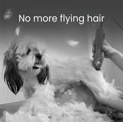 All-in-one Pet Grooming Vacuum